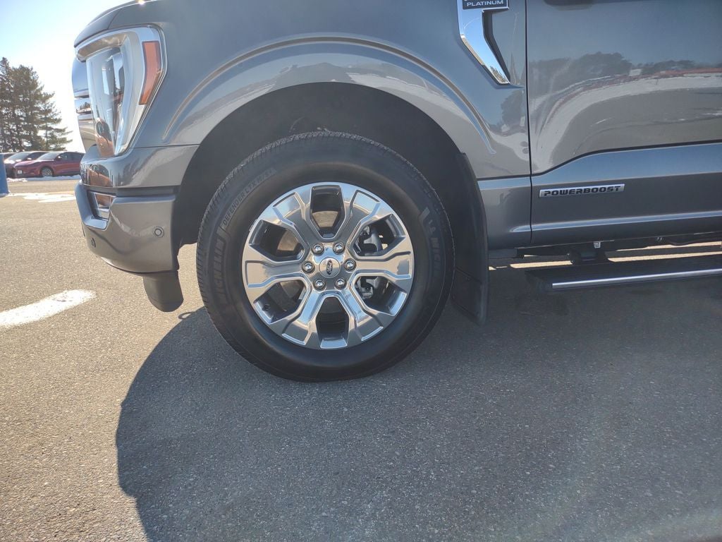 2021 Ford F-150 Platinum